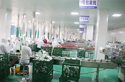 麗星加班加點(diǎn)忙生產(chǎn)，嚴(yán)守產(chǎn)品質(zhì)量