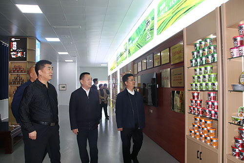 國(guó)家、省、市鄉(xiāng)村振興局等**一行蒞臨麗星公司進(jìn)行調(diào)研工作