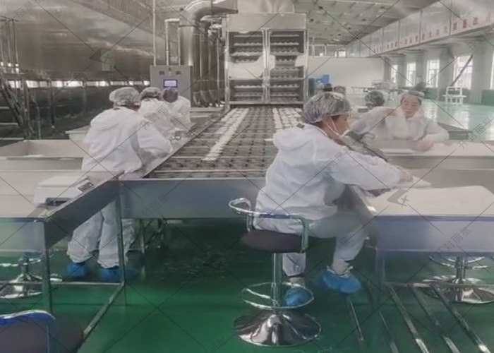 麗星日產(chǎn)10噸的粉絲生產(chǎn)線試機(jī)進(jìn)行中