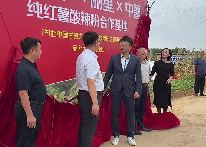 從紅薯源頭到健康粉絲：麗星以設(shè)備硬實力助力三方合作