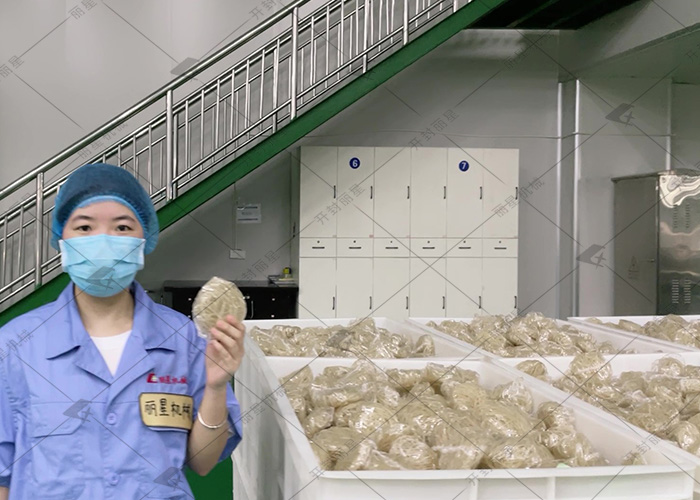 從原料到口感，讀懂方便粉絲與方便面的差異