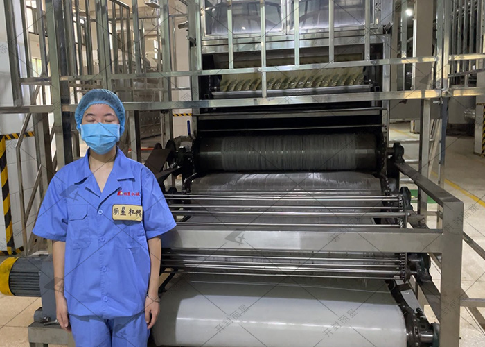 麗星機(jī)械粉條機(jī)生產(chǎn)天然無添加粉條
